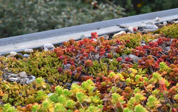 the cost of Cote green roof installation