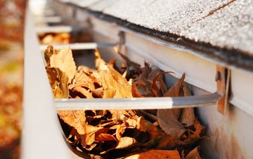 Cote gutter cleaning companies
