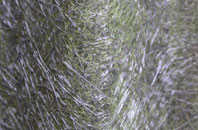 Cote fibreglass roof work